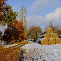 2012-10-28 Wintereinbruch