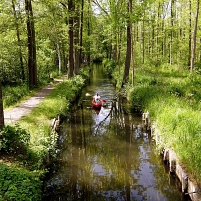 2020 Spreewald