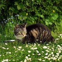 2022 Spaziergang im Garten