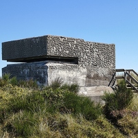 2025-08-17 121839 Motorola e60