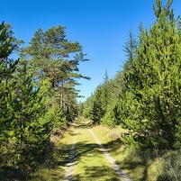 2025-08-17 112813 Motorola e60