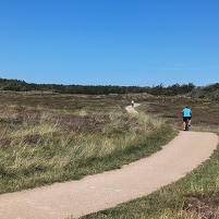 2025-08-17 152421 Motorola e60