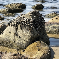 2025-08-14 154233 Motorola e60