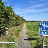 2025-08-16 115010 Motorola e60