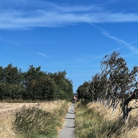 2025-08-16 115744 Motorola e60