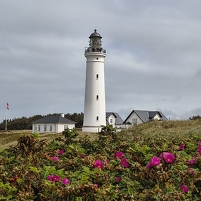 2025-08-19 133141 Motorola e60