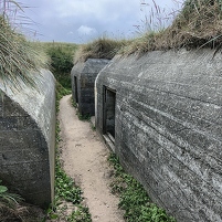 2025-08-19 133002 Motorola e60