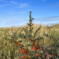 2025-08-19 162202 Motorola e60