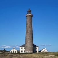 2025-08-19 180055 Motorola e60