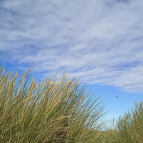 2025-08-19 162855 Motorola e60