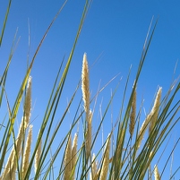 2025-08-19 165234 Motorola e60