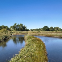 2025-08-20 115219 Motorola e60