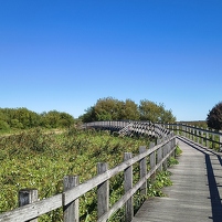 2025-08-20 115510 Motorola e60