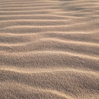 2025-08-19 200727 Motorola e60