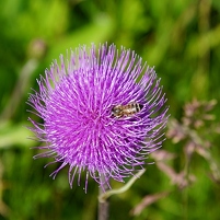 2024-06-16 111858 DSC09621 SONY ILCA-77M2