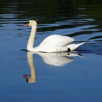 2024-06-25 083454 DSC09657 SONY ILCA-77M2