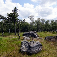 2024-06-26 121946 DSC09707 SONY ILCA-77M2