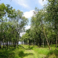 2024-06-26 122425 DSC09709 SONY ILCA-77M2