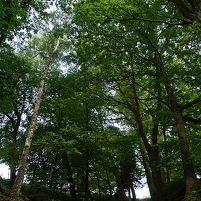 2024-06-28 111828 DSC09813 SONY ILCA-77M2