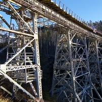 2024-12-28 151547 DSC09930 SONY ILCA-77M2