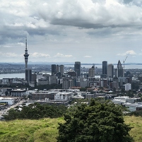 2026-02-05 140124 Motorola e60