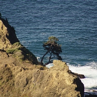 2026-02-06 180726 SONY ILCA77-M2