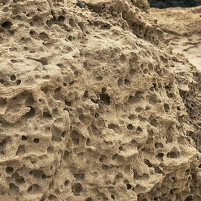 2026-02-07 102228 Motorola e60