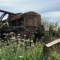 2026-02-08 094552 Motorola e60