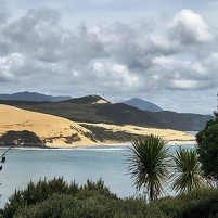 2026-02-08 115459 Motorola e60