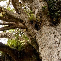 2026-02-08 124923 SONY ILCA77-M2