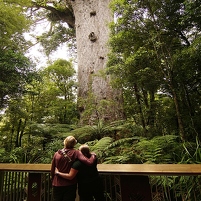 2026-02-08 124820 SONY ILCA77-M2