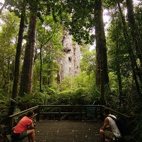 2026-02-08 135348 SONY ILCA77-M2