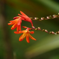 2026-02-09 084301 SONY ILCA77-M2