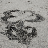 2026-02-09 104640 SONY ILCA77-M2