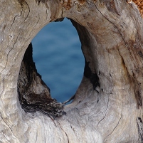 2026-02-10 152611 SONY ILCA77-M2