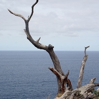 2026-02-10 152440 SONY ILCA77-M2