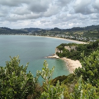 2026-02-10 140227 Motorola e60