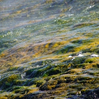 2026-02-12 100356 SONY ILCA77-M2