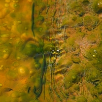 2026-02-12 102421 SONY ILCA77-M2