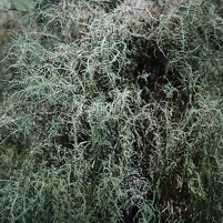 2026-02-12 111355 SONY ILCA77-M2