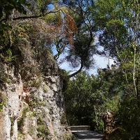 2026-02-12 112401 SONY ILCA77-M2