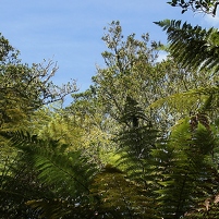 2026-02-12 111646 SONY ILCA77-M2