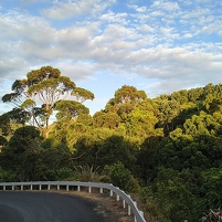 2026-02-12 194310 Motorola e60