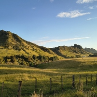 2026-02-12 194616 Motorola e60