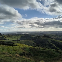 2026-02-08 181132 Motorola e60