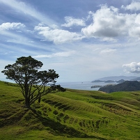 2026-02-09 163457 Motorola e60