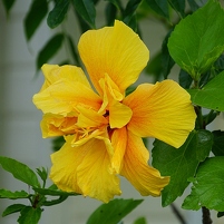 2026-02-10 163638 SONY ILCA77-M2