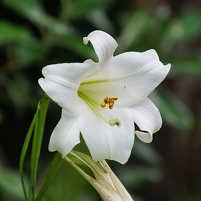 2026-02-10 171502 SONY ILCA77-M2