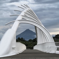 2026-02-13 195133 Motorola e60