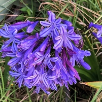 2026-02-13 200632 Motorola e60